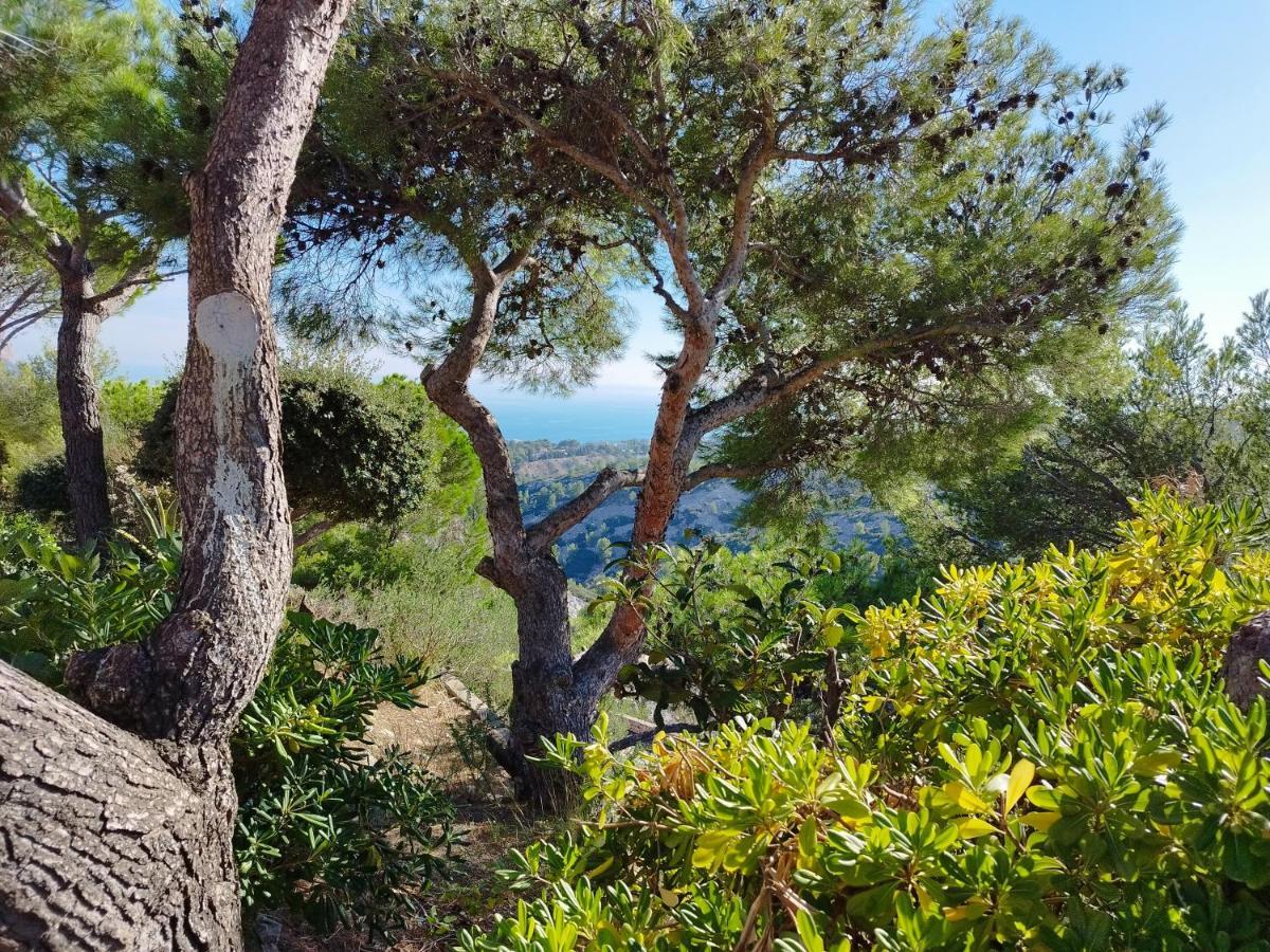 Appartement Sweet Calanque - Host Provence à Cassis Extérieur photo